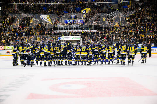 HV71s spelare jublar