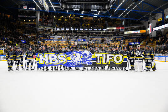 HV71s spelare jublar