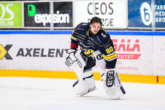 HV71s målvakt Frederik Dichow jublar