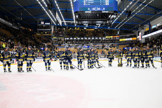 HV71s spelare jublar