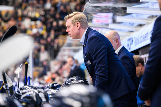 HV71s tränare Anton Blomqvist