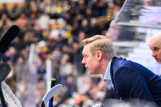 HV71s tränare Anton Blomqvist