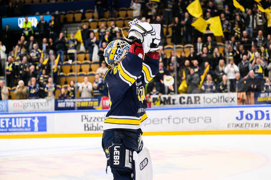 HV71s målvakt Frederik Dichow