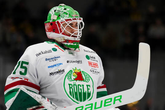Rögles målvakt Arvid Holm