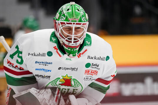 Rögles målvakt Arvid Holm