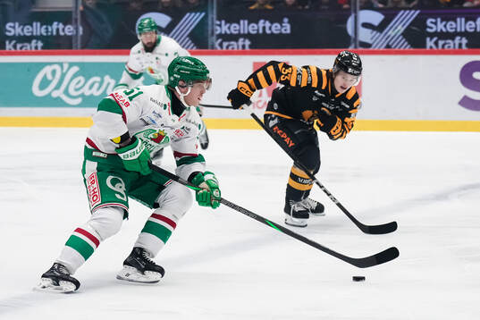 Bläddra bland fler bilder av Ishockey, SHL, Skellefteå - Rögle