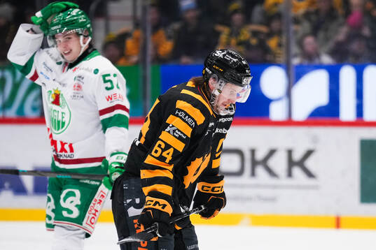 Skellefteås Jonathan Pudas deppar