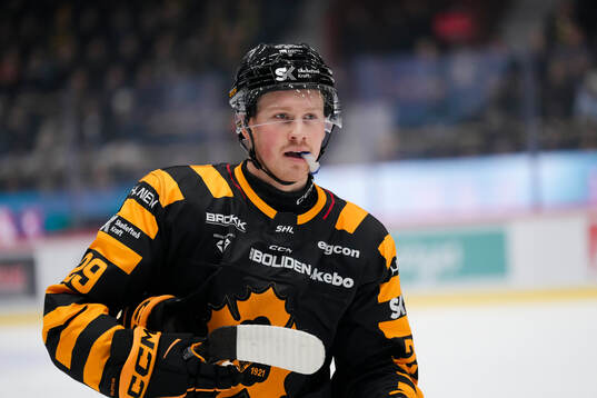 Skellefteås Ludvig Warg