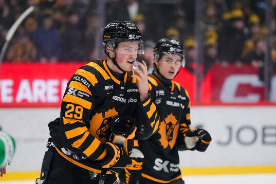 Skellefteås Ludvig Warg