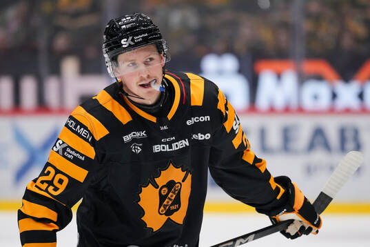 Skellefteås Ludvig Warg