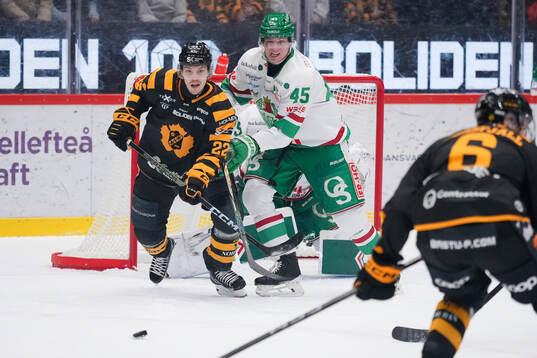 Skellefteås Jonathan Johnson och Rögles Gregor Biber