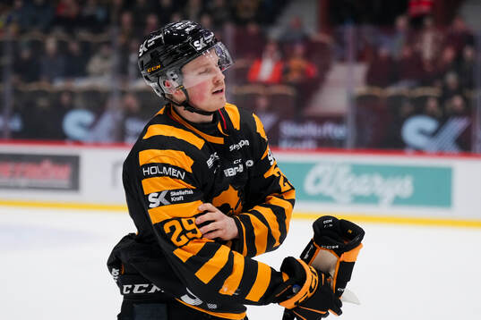 Skellefteås Ludvig Warg