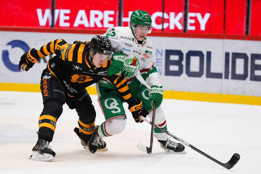 Skellefteås Axel Sandin Pellikka och Rögles Isac Solberg