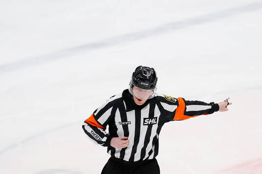 Domare Mikael Holm