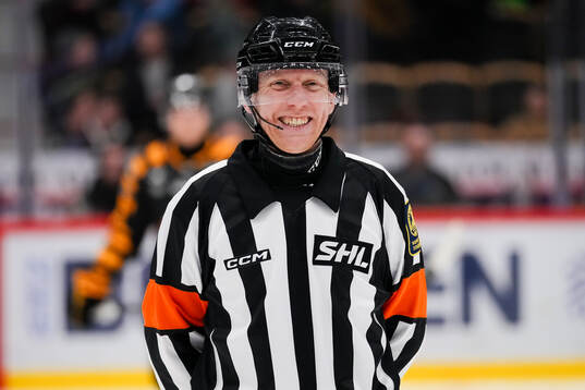 Domare Mikael Holm