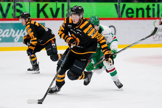 Skellefteås Ludvig Warg