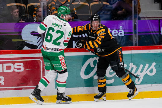 Rögles Lubos Horky och Skellefteås Jonathan Pudas