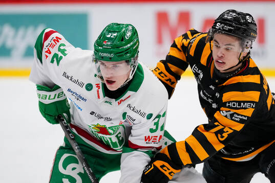 Rögles Isac Solberg och Skellefteås Viggo Nordlund