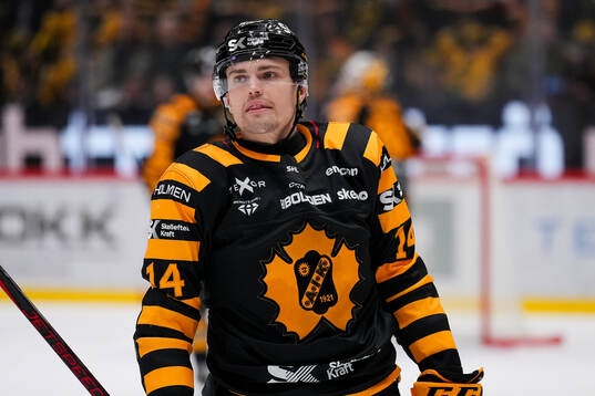Skellefteås Andreas Johnson deppar
