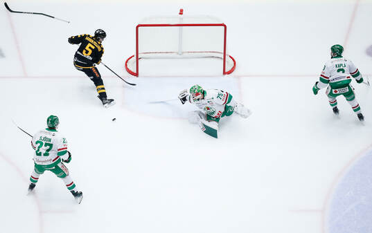 Skellefteås Axel Sandin Pellikka och Rögles målvakt