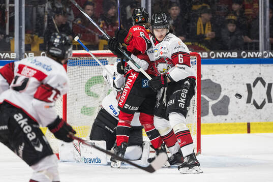 Malmö Redhawks Dominik Badinka