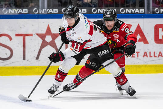 Malmö Redhawks Nikola Pasic och Luleås Brian O'neil