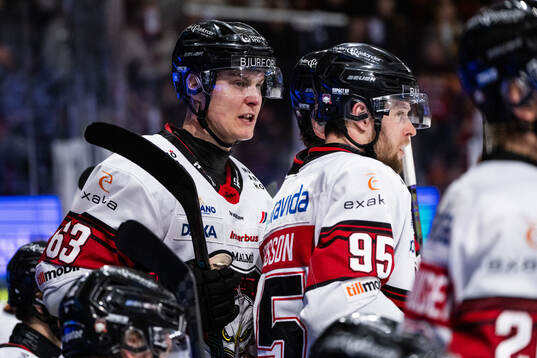 Malmö Redhawks Fredrik Händemark