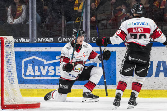 Malmö Redhawks Fredrik Händemark jublar