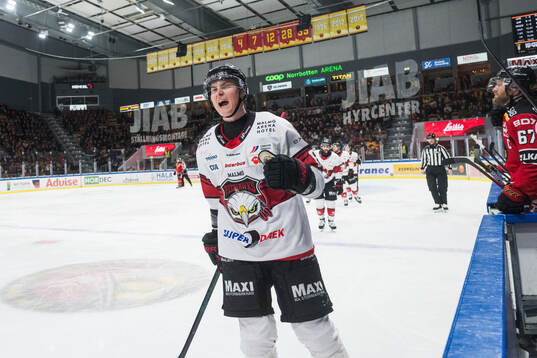 Malmö Redhawks Fredrik Händemark jublar