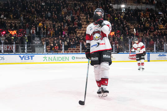 Malmö Redhawks Fredrik Händemark deppar