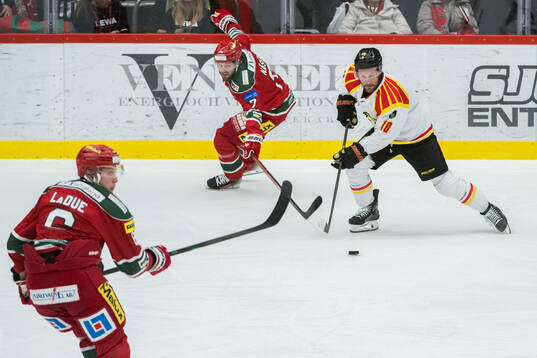 Brynäs Johan Larsson