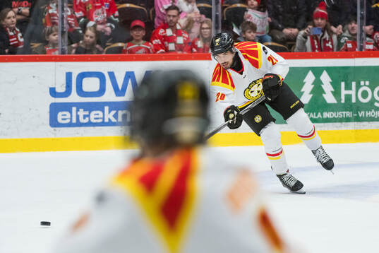 Brynäs Tyler Vesel