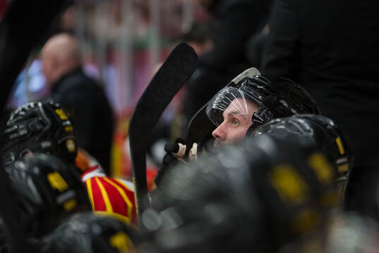 Brynäs spelare