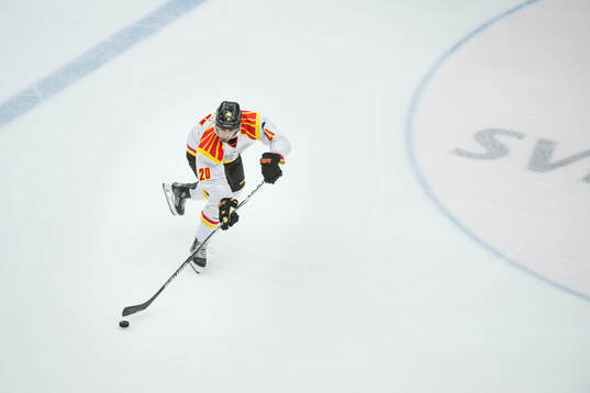 Brynäs Tyler Vesel