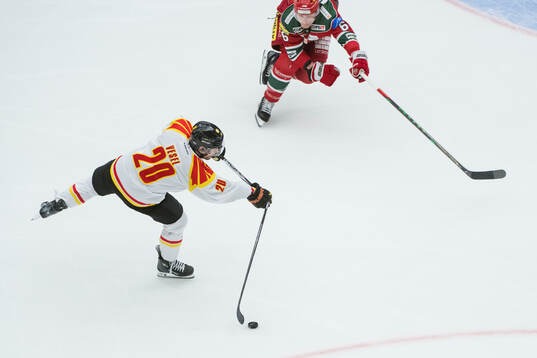 Brynäs Tyler Vesel och Modos Paul Ladue