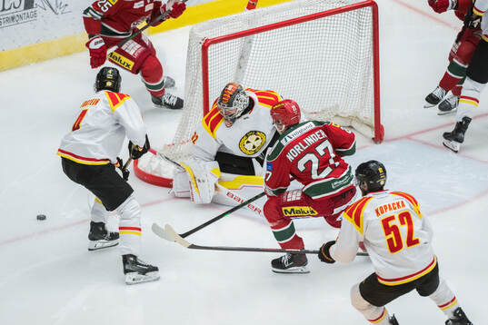 Brynäs målvakt Ludvig Persson