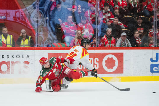Modos Jesper Olofsson och Brynäs Tyler Vesel