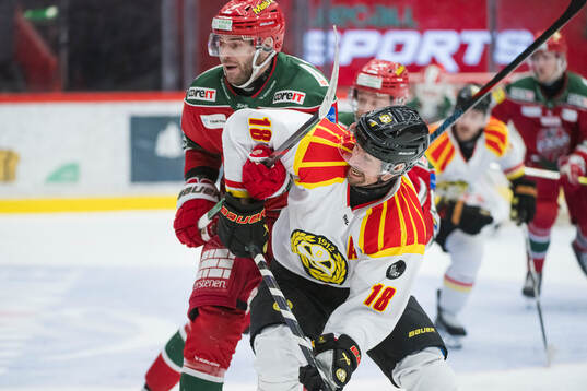 Brynäs Anton Rödin