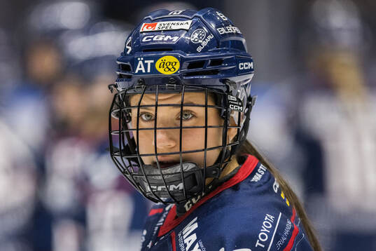 Linköpings Vega Milfors