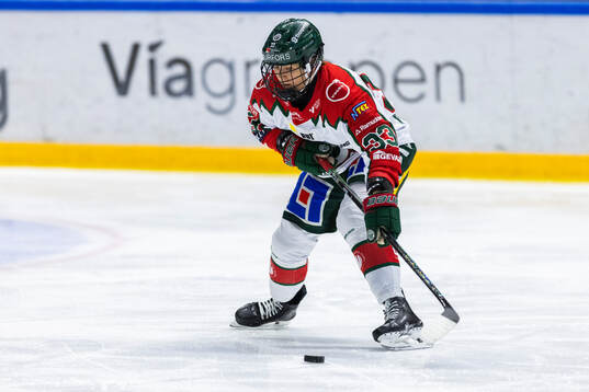 Frölundas Michelle Karvinen