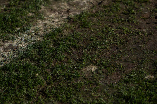 Detali of the pitch at Racecourse Ground
