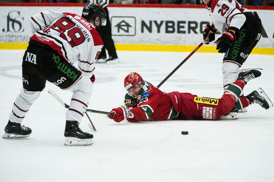 Modos Tobias Winberg