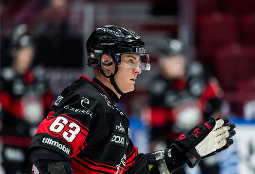 Malmö Redhawks Fredrik Händemark