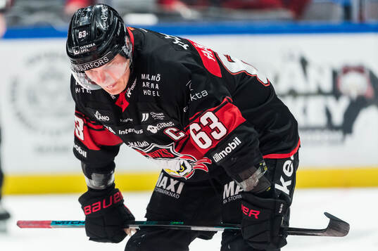 Malmö Redhawks Fredrik Händemark deppar