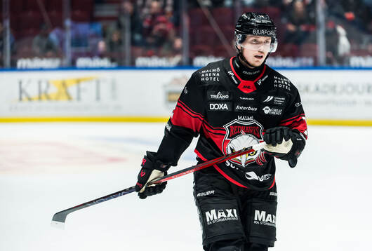 Malmö Redhawks Linus Öberg deppar