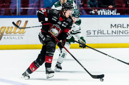 Malmö Redhawks Robin Salo och Färjestads Per Åslund