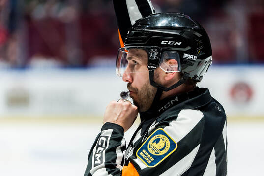 Domare Mattias Enroth