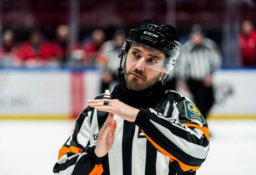 Domare Mattias Enroth