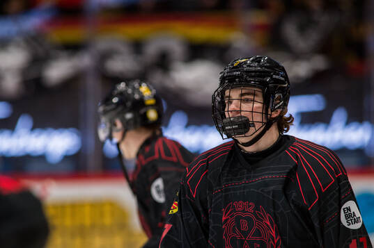 Brynäs Michal Svrcek