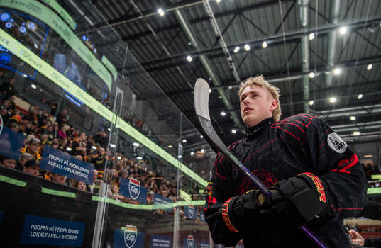 Brynäs Leo Sundqvist